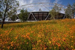 sustainable construction for London 2012
